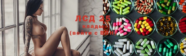 спайс Алзамай