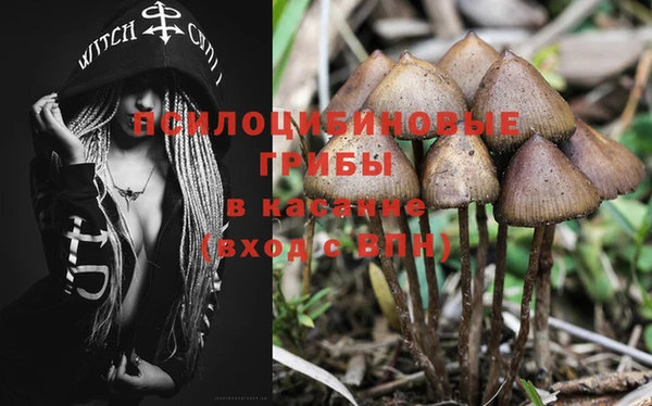 спайс Алзамай