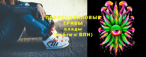 меф Новодвинск